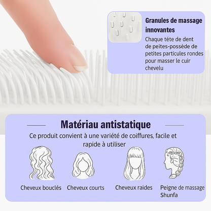 Peigne Autonettoyant